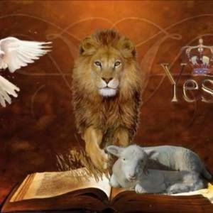 Meet your Posher, Mariana